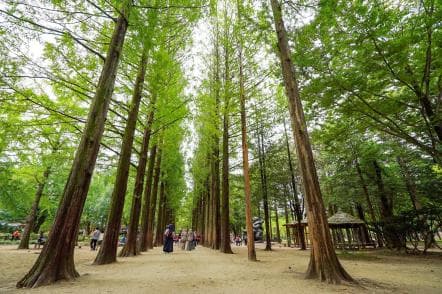 Nami Island