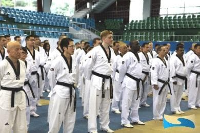 Taekwondo Experience