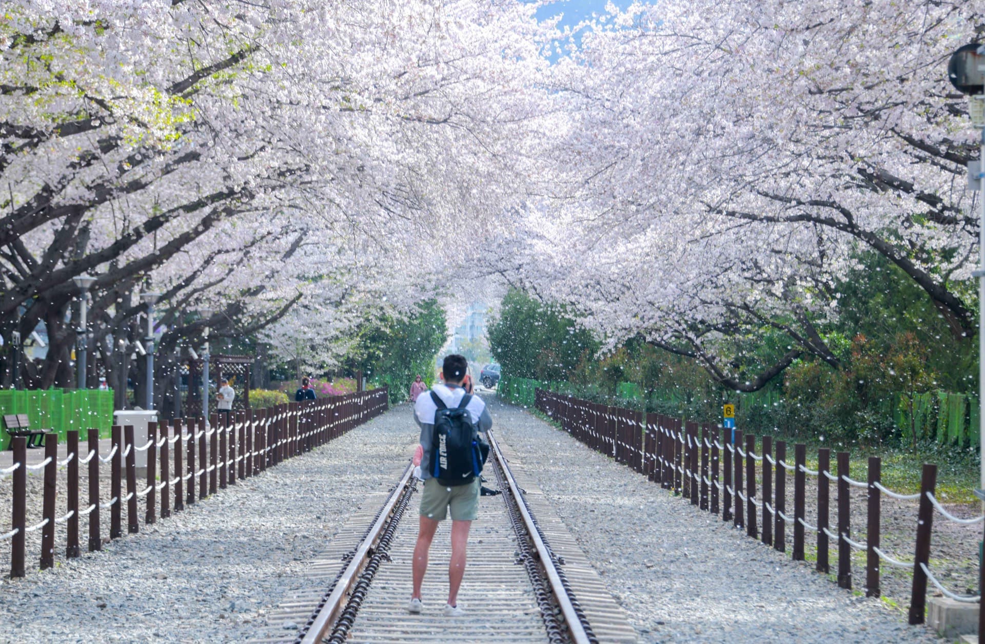 Korea travel slide 2